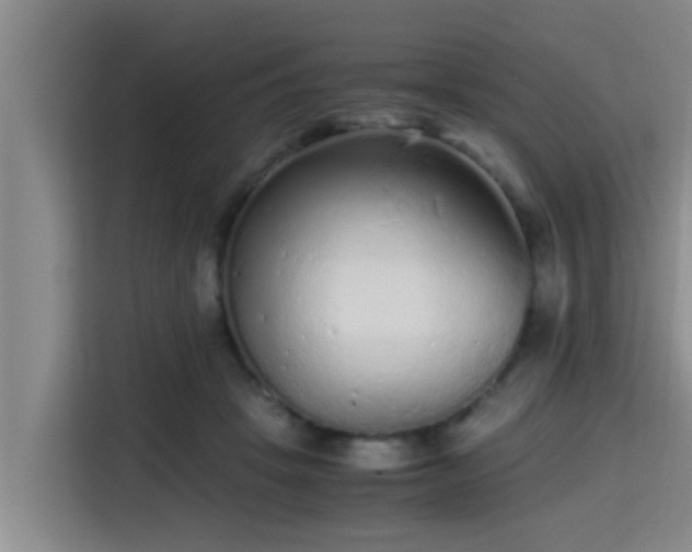 X0000115370457200911101249
