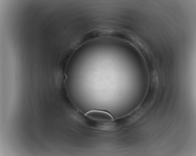 X0000115370463200911101250