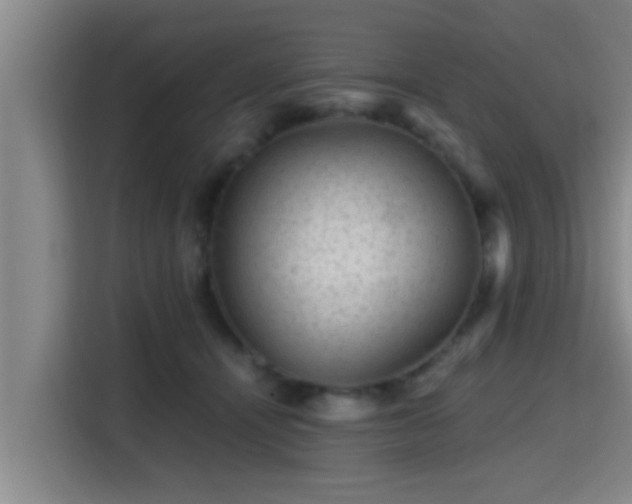 X0000115370464200911101250