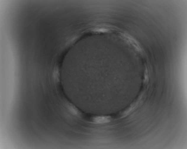 X0000115370465200911101250