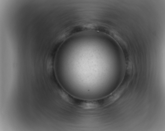 X0000115370466200911101250