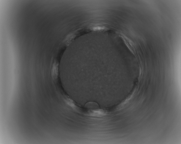 X0000115370475200911101250