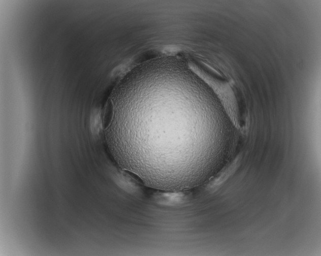 X0000115370478200911101250