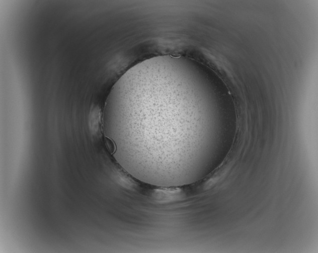 X0000115370480200911101250