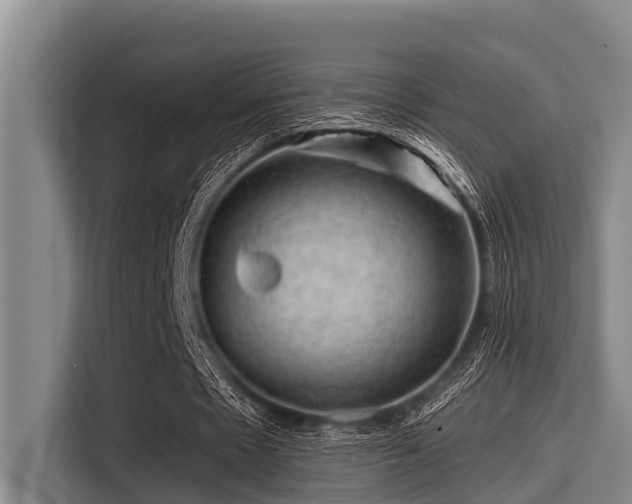 X0000115370481200911101249