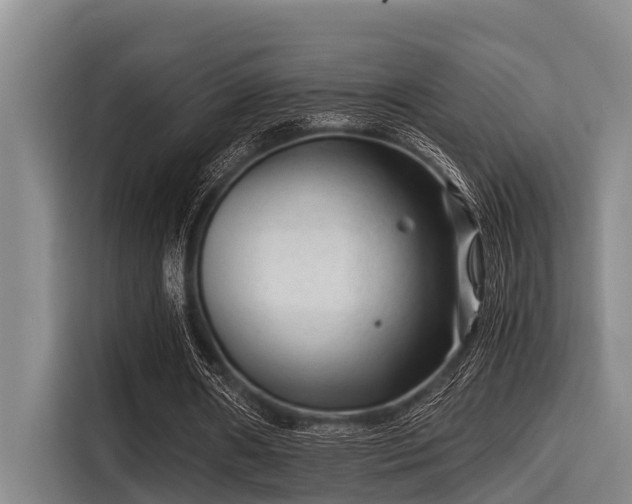 X0000115370482200911101249