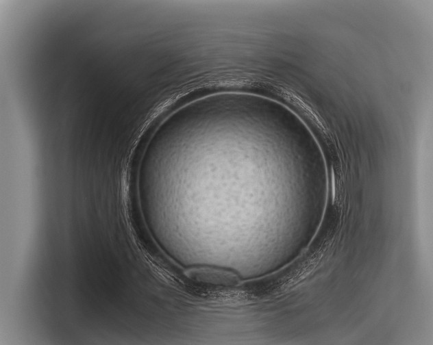 X0000115370483200911101249