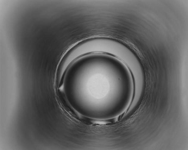 X0000115370484200911101249