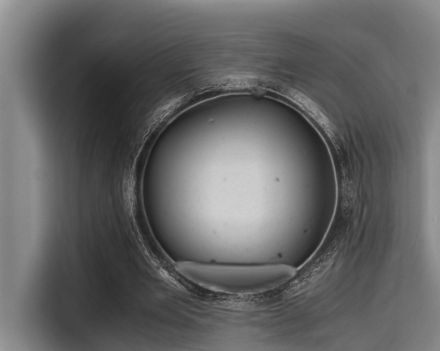 X0000115370485200911101249