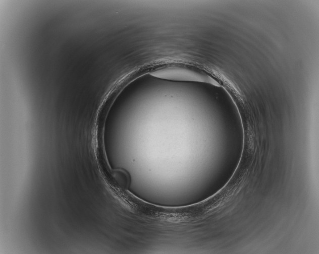 X0000115370486200911101249