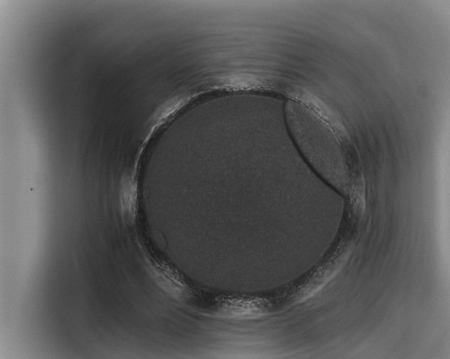 X0000115370488200911101249