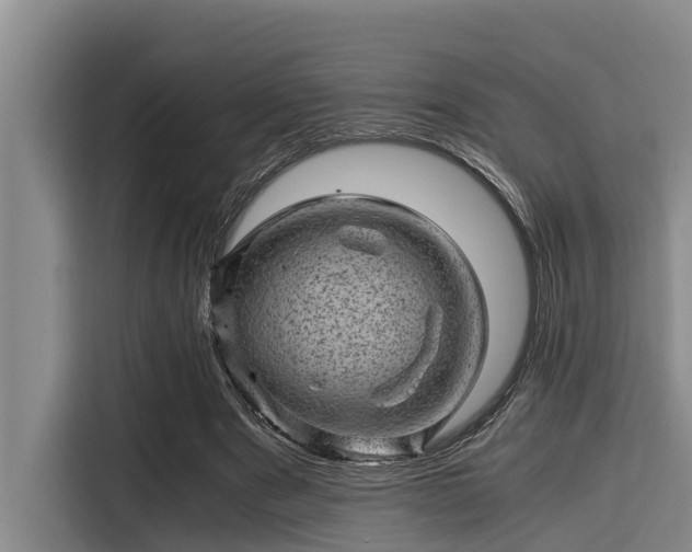 X0000115370489200911101249