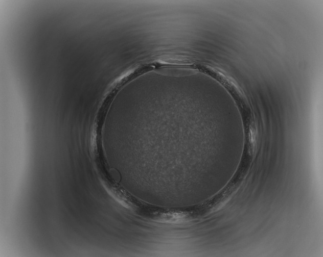 X0000115370492200911101249