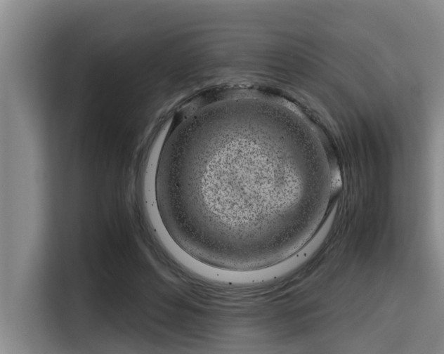 X0000115370496200911101249