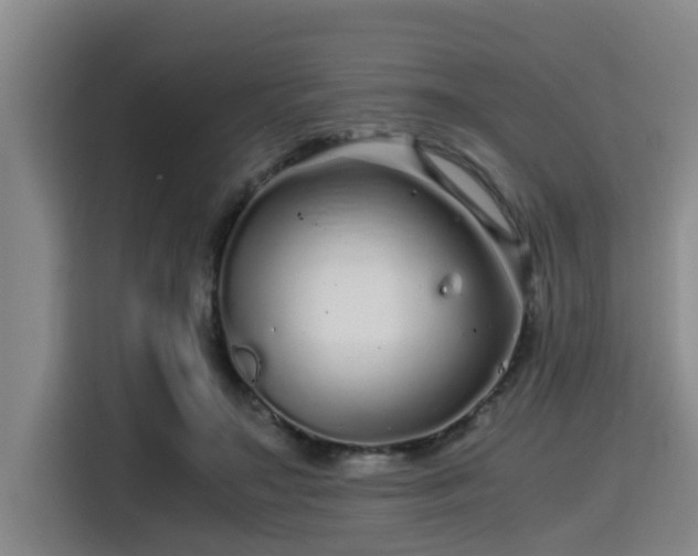X0000115370499200911101249