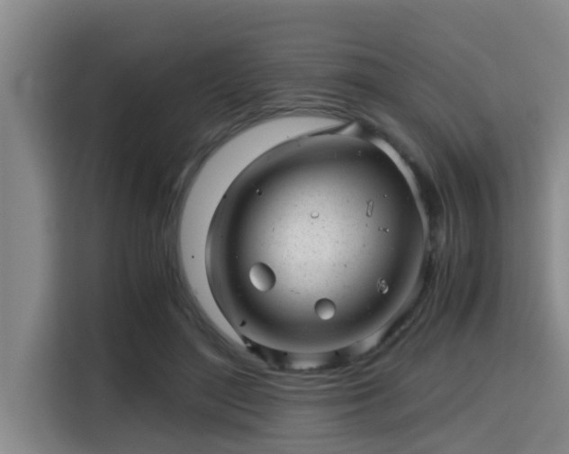 X0000115370500200911101249