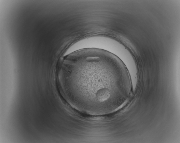 X0000115370501200911101249