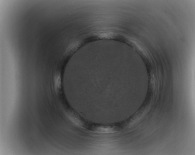 X0000115370502200911101249