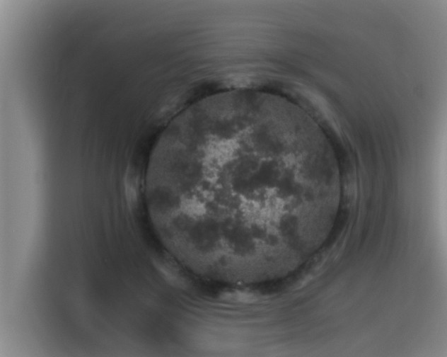 X0000115370503200911101249