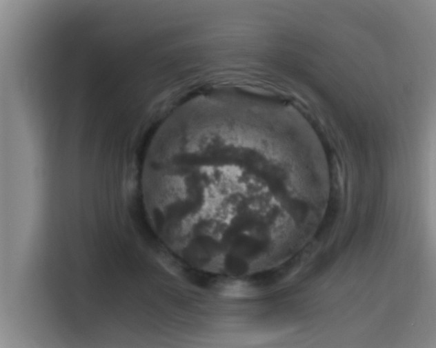 X0000115370507200911101249