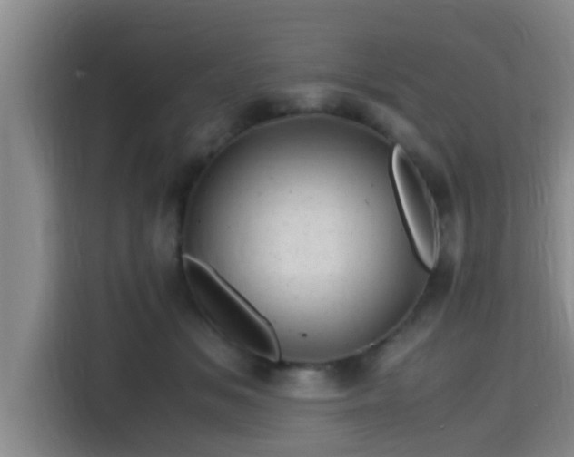 X0000115370509200911101249