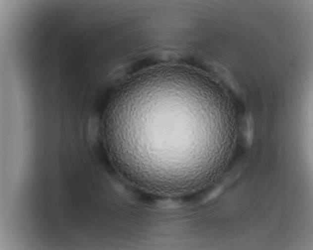 X0000115370511200911101249