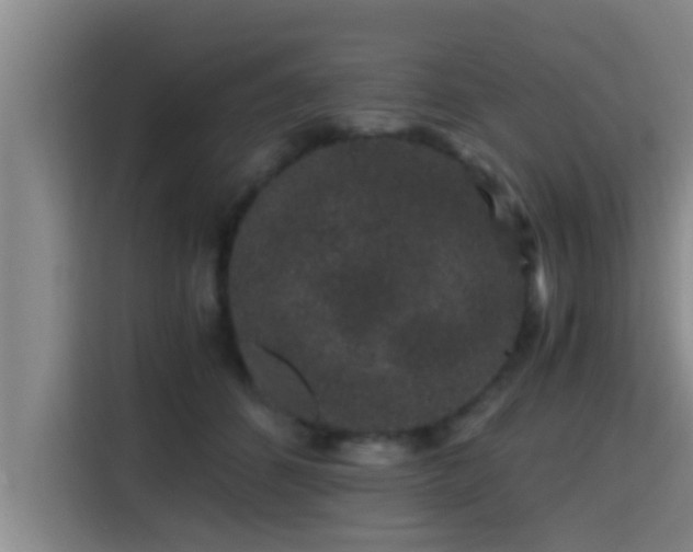 X0000115370512200911101249