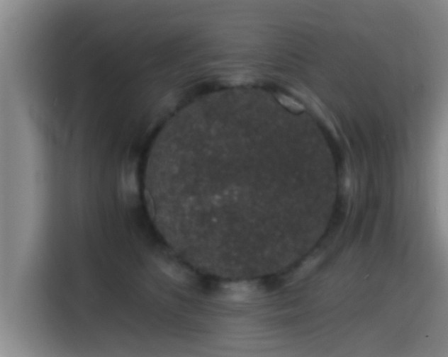 X0000115370516200911101249