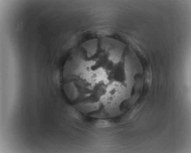 X0000115370519200911101249