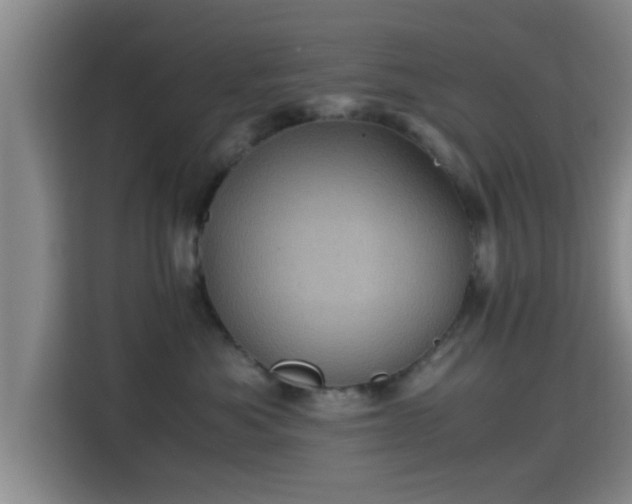 X0000115370525200911101249