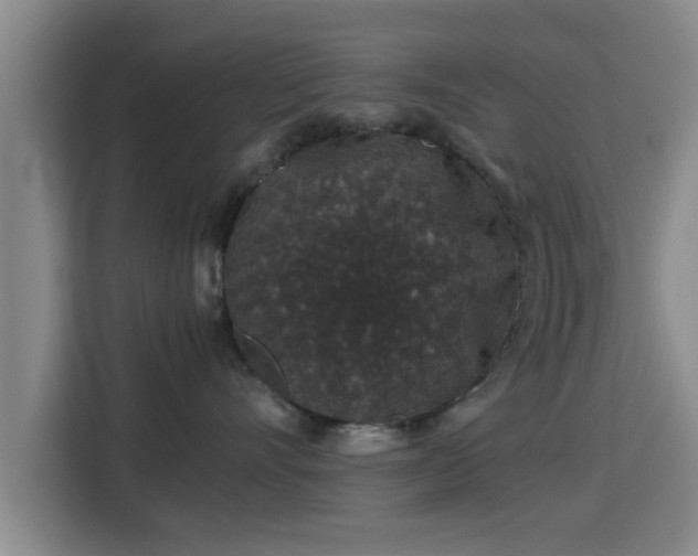 X0000115370528200911101249