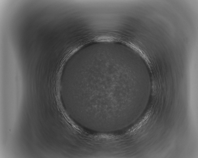 X0000115370529200911101248