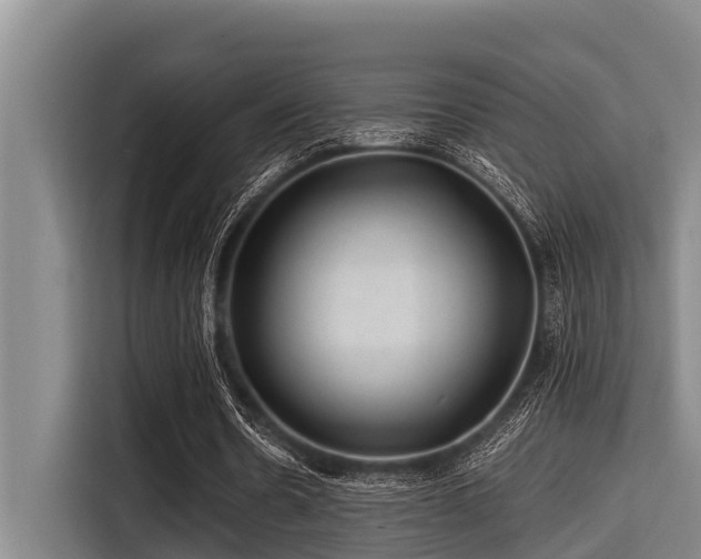 X0000115370530200911101248