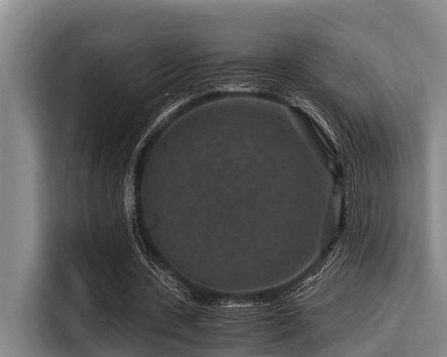 X0000115370531200911101248