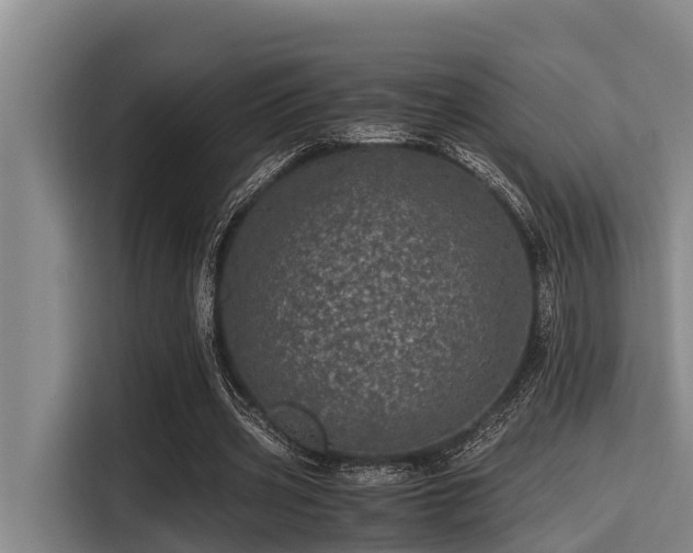 X0000115370533200911101248