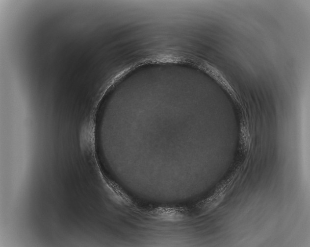 X0000115370534200911101248
