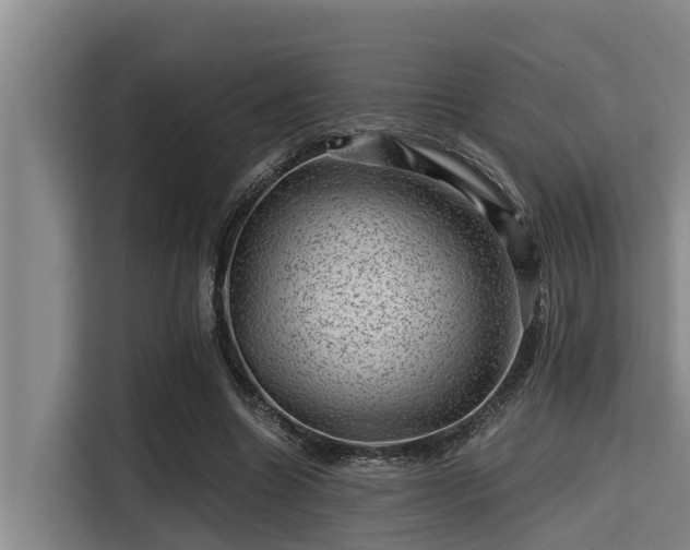 X0000115370538200911101248