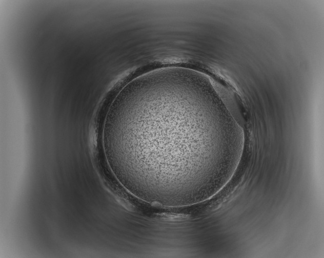 X0000115370539200911101248