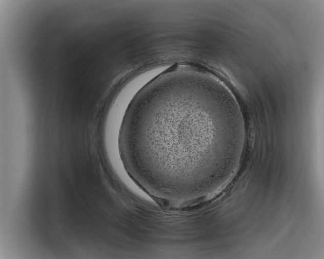 X0000115370543200911101248