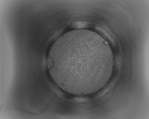 X0000115370545200911101248