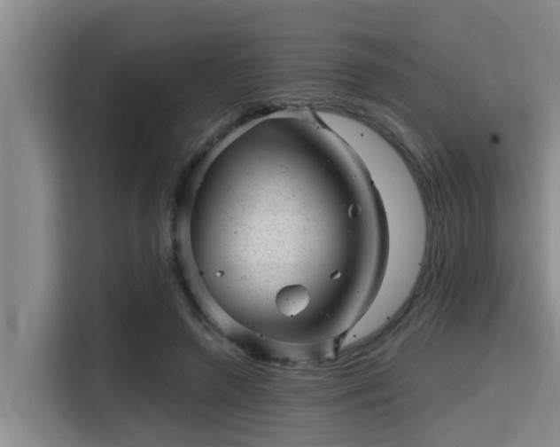 X0000115370546200911101248