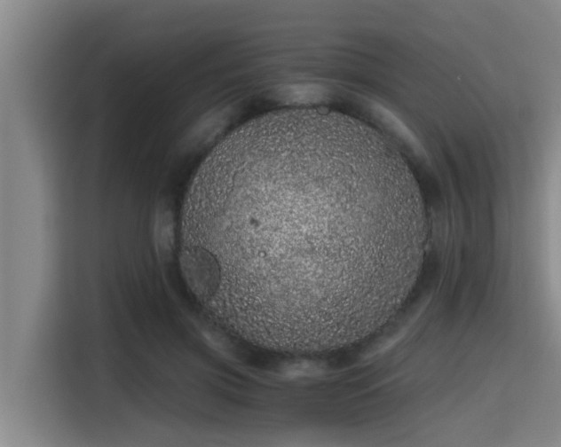X0000115370549200911101248