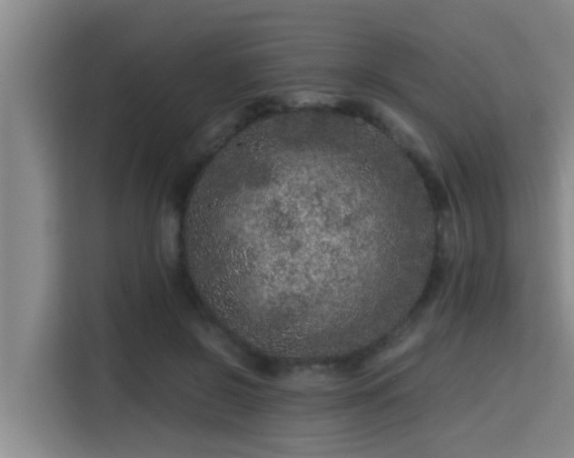 X0000115370550200911101248