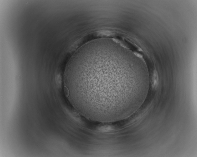 X0000115370551200911101248