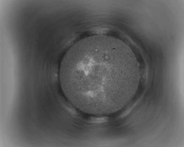 X0000115370553200911101248
