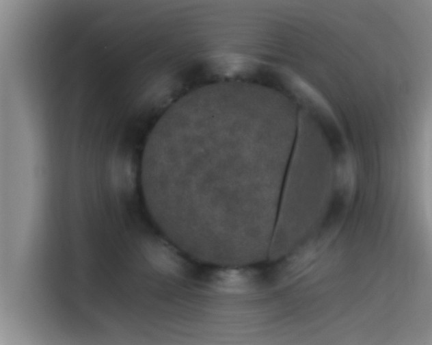 X0000115370558200911101248