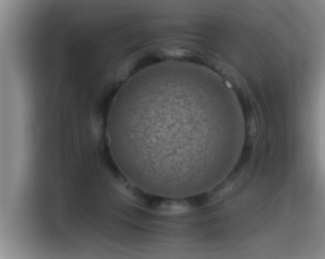 X0000115370559200911101248