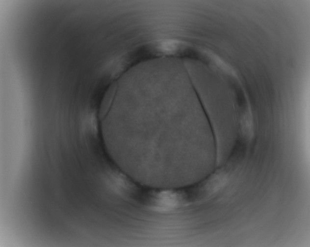 X0000115370562200911101248