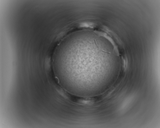 X0000115370563200911101248