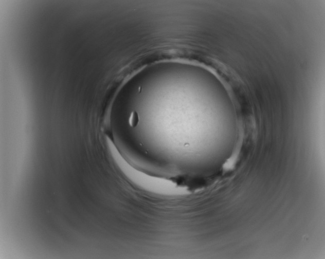 X0000115370566200911101248